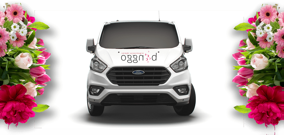 Binggo auto firmowe