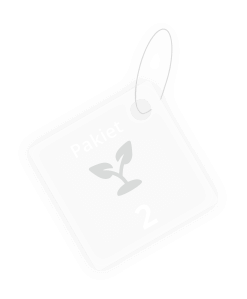creana Pakiet Branding Starter